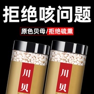 北京同仁堂川贝母中药官方川贝母中药材川贝粒干川贝粉正宗野生