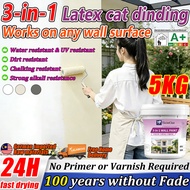 [24 hours delivery] cat dinding luar rumah 1000ml formaldehyde wall paint cat dinding rumah cat dind
