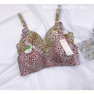 Leopard Print Wireless Push-Up Bra – Bold & Comfortable 36-46 B cup Bra Push Up