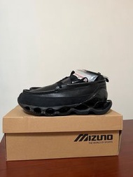 Mizuno wave prophecy moc