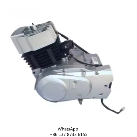 AX100 Engine 2 Stroke Air Cooled Manual Clutch PZ22JC Carburetor 6.3KW Kick Start CDI Motorcycle Eng