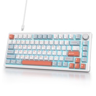 iTastatur 75% Wired Keyboard with Knob, 75 Percent Gaming Keyboard Hot Swappable Gasket Mount,White 