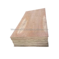 Customized products birch plywood laminated marine 18mm plywood melamine laminated plywood made in V