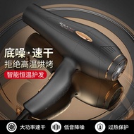 Hair Dryer AC High Power Salon Hair Salon Blue Light Ion High Speed Hair Dryer Hair Dryer Quick Dry 
