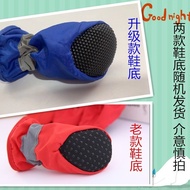 Pet Shoes Comfortable Y2026.3.3Y