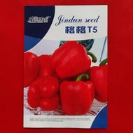 ⑧比格格T5甜椒種子 種籽200粒紅色方型青辣椒種籽紅圓椒燈籠椒方椒tbgz
