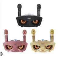 SDRD SD-306 Karaoke Speaker system with 2 Mic