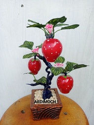 Bonsai buah/ Hiasan Meja tinggi 25 cm