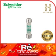 TeSys GS cylindrical NFC tube fuse 10mm x 38mm, fuse type aM, 500VAC, 2A - Schneider Electric - DF2C