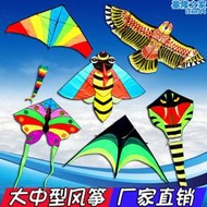 濰坊鴻運風箏新款飛機蛇彩虹金魚蝴蝶老鷹成人大型兒童風箏的