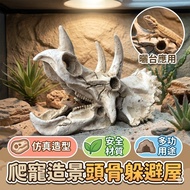 [Taiwan Shipment] Climbing Pet Landscaping Skull Hiding House|Resin Triceratop Fossil|Reptile Breedi