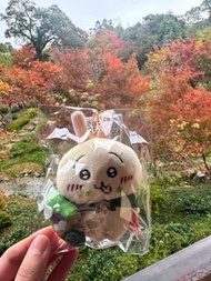 Chiikawa 京都限定 宇治抹茶兔兔