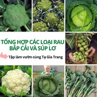 Compilation of cabbage and cauliflower seeds - Ta Gia Trang seed Shop