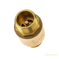 IVY Brass Check Valves 3 4 Inch Male to Female One Way Horizontal Spring Designs