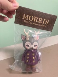 全新 MORRIS 角貓
