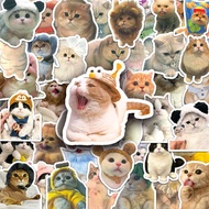 100/10 Piece Funny Cat Waterproof Sticker For Phones Laptop Skateboard Creative Graffiti Car Motor Sticker