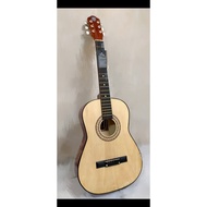 TECHNO T36C Acoustic Guitar.  FREE Bag