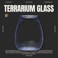 Glass Terrarium Jar with lid and ventilation hole – For Isopods, Springtails, Tropical Plants