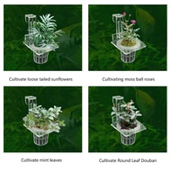 CAPA Aquariums Plant Stand Water Plant Holder Plant Cups Decorative Cup Landscaping