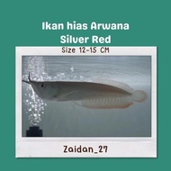 Ikan Hias Arwana Silver Red Ziniatoko