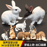 Simulation Large Size Animal Model Toy Farm Animal Rabbit Little White Rabbit Black White Rabbit Boy