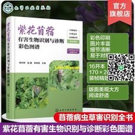 紫花苜蓿有害生物識別與診斷彩色圖譜 苜蓿病害識別全書 苜蓿主