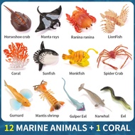 Mini Sea Life Action Figures Marine Aquarium Animal Dolphin Crab Shark Turtle Set Model Ocean Miniature Cognition Toys for Children