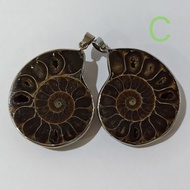 Ammonite pendant couple 1 Set Gets 2 Pieces From The Same One Shell Million-Year Carry It With You.
