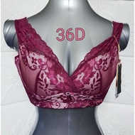 36D/80D PLUS SIZE BRA - NON-WIRED