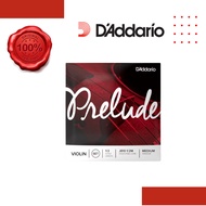 D’ADDARIO J810 1/2M PRELUDE VIOLIN STRING SET, 1/2 SCALE, MEDIUM TENSION