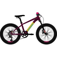 SEPEDA DOMINATE A-ONE KIDS 20" - bicycle storeku