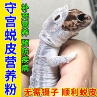 The geese crawling pet molting nutrition powder The geese ey守宫爬宠蜕皮营养粉守宫睫角鬃狮蜥蜴蛇皮肤营养亮体色防卡皮脱皮7.14