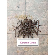 Set keratan batang anggur jenis Dixon