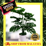 Pokok Viral Hiasan Monstera Keladi Murah Bunga Hiasan ARTIFICIAL Plant Home Decor Banana Skybird Nor