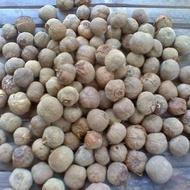 Biji Jati Emas 100gram Unggul