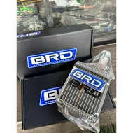 BRD GIORNO Radiator Direct Model