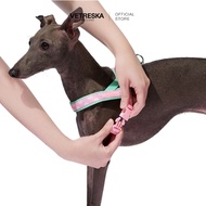 [สินค้าพร้อมส่ง] VETRESKA ปลอกคอสุนัข แมว สัตว์เลี้ยง Flora Pet Harness & Leash Set