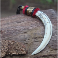 Taring babi Kalung taring babi Kalung etnik