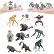 [kanye2dc] 10x Mini Orangutan Monkey Figures Party Favor School Project Jungle Zoo Animal Figurines 