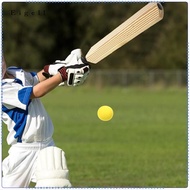 Eigell Kids Cricket Bat Set Practice Children Cricket Bat for Backyard Kids Outdoor