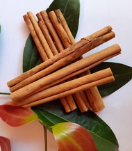 อบเชยซีลอนแท่งแท้ คุณภาพสูง จากศรีลังกา Ceylon Cinnamon Sticks