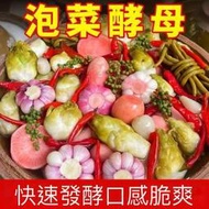 脆爽泡菜酵母泡菜發酵菌自制韓式辣白菜鹹菜酵母家用乳酸菌發酵粉