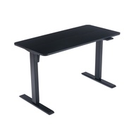 VHIVE Thor 1.2m Electric Adjustable Standing Desk (120cm Computer Office Table)