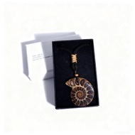 Hello~Natural Madagascar Chalk Ammonite Fossil Pendant Jewelry Pendant Necklace Geological Popular S