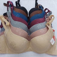Bra bh Elena 24466 foam wire 36C-42C