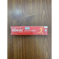 Igesic Ointment 20gm