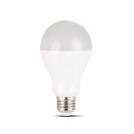 LED Bulb - Nerolight TITAN Led Bulb 13W - 6500k & 3000k