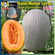Hami Melon Seeds Fruit Seeds for Planting Fruit Plants (25 Seed) Sweet Cantaloupe Seeds Dwarf Fruit 