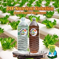 Hydroponics Nutrient Solution (DIY)