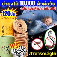 ได้กลิ่นแล้วตาย ธูปกันยุง 120 วง ธูปฆ่ายุงตาย10000ยากันยุงแบบขดมีอย ส่วนผสมจากพืชธรรมชาติ ยากันยุงสม